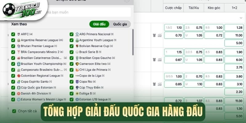 Tỷ Lệ Kèo Nhà Cái - Cập Nhật Kèo Bóng Đá Chuẩn Xác Hàng Ngày 182 Tổng hợp giải đấu quốc gia hàng đầu