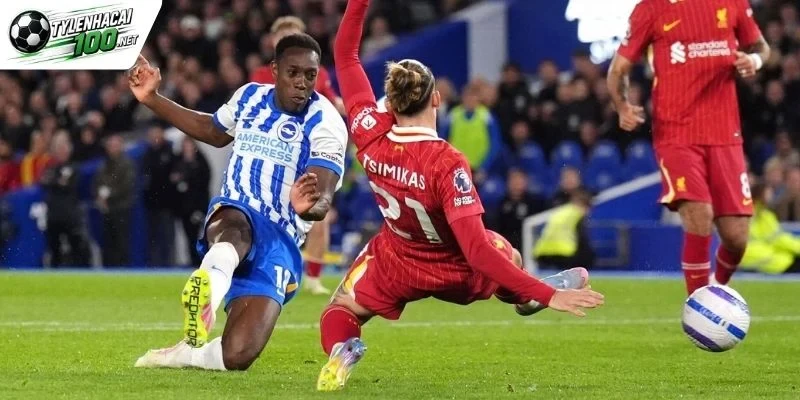 Kèo Nhà Cái Liverpool Vs Brighton - NHA, 25/10/2026 6 Chốt kèo Liverpool vs Brighton đáng chú ý