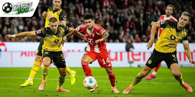 Soi Kèo Bóng Đá Munich Vs Dortmund, Bundesliga - 1/11/2026 6 Phân tích tỷ lệ Munich vs Dortmund