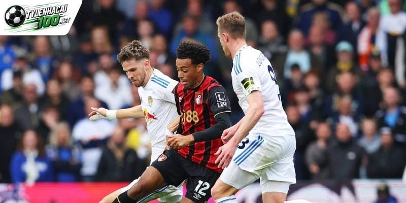 Kèo Nhà Cái Bournemouth Vs Leeds United, NHA - 31/10/2026 1 Toàn cảnh cuộc đối đầu Bournemouth vs Leeds United