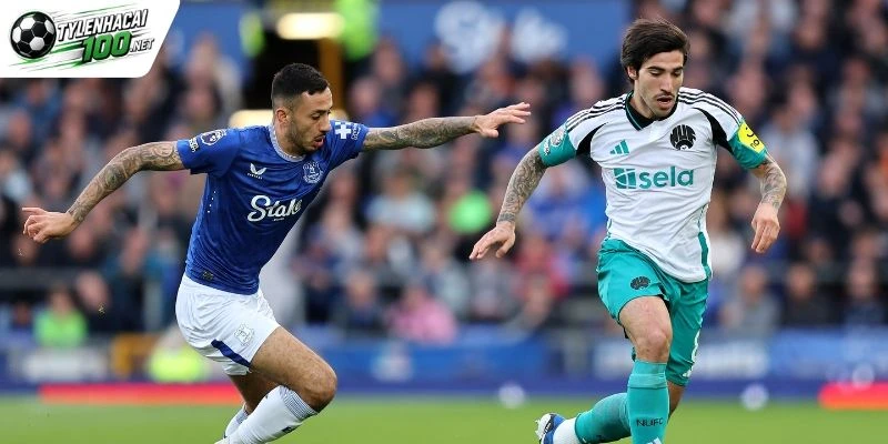 Tổng quan về trận Newcastle vs Everton